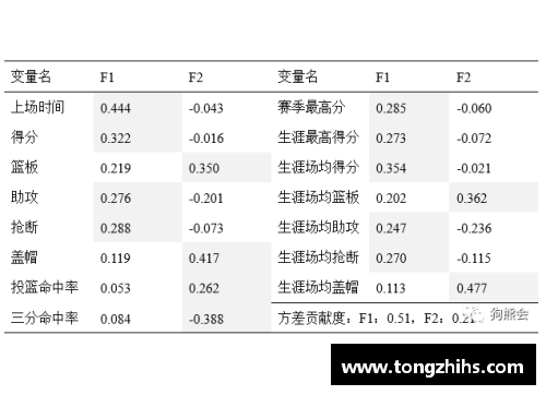 篮球球员薪酬分析与经济影响研究